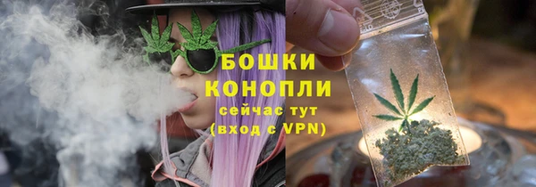 PSILOCYBIN Баксан