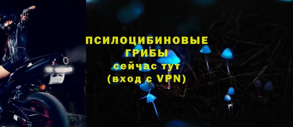 стафф Балахна