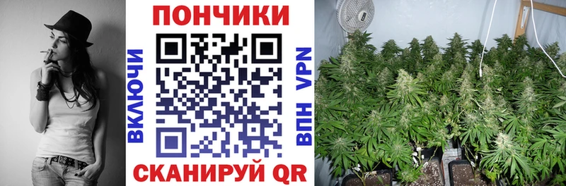 где найти Спас-Деменск Шишки марихуана ГИДРОПОН